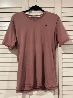 Desert Dunes Men's V-Neck Short Sleeve Tee - Mauve Size Medium